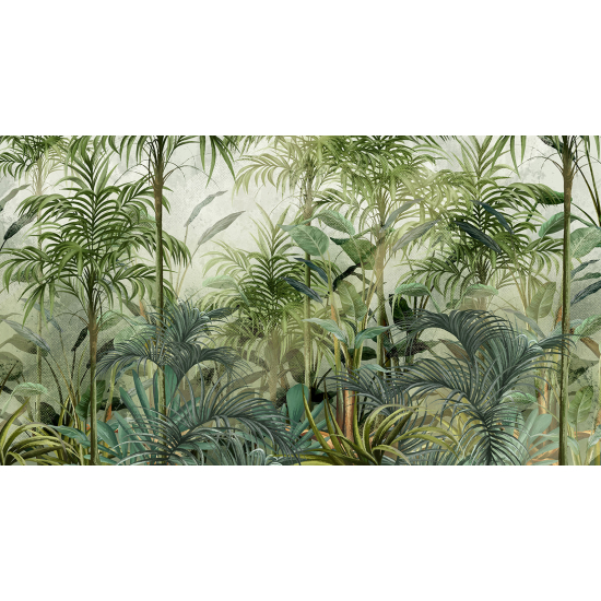 Panoramic Wallpaper - Wall Mural - Tropical Forest