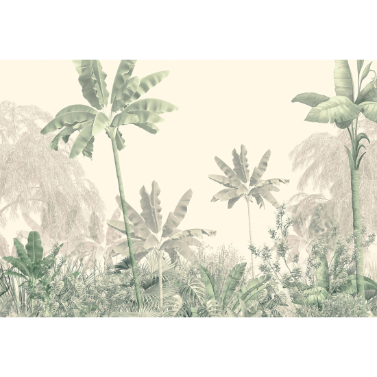 Panoramic Wallpaper - Wall Mural - Tropical Forest