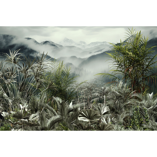 Panoramic Wallpaper - Wall Mural - Tropical Forest