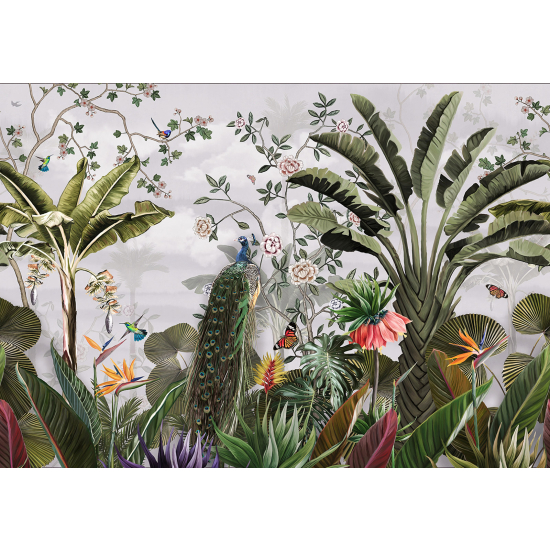 Panoramic Wallpaper - Wall Mural - Tropical Forest Birds