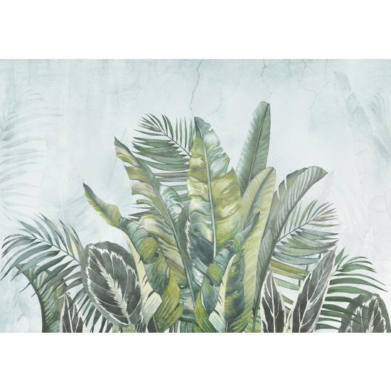 Panoramic Wallpaper - Wall Mural - Tropical Leaves