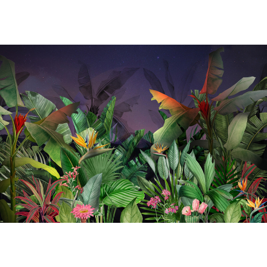 Panoramic Wallpaper - Wall Mural - Tropical plants