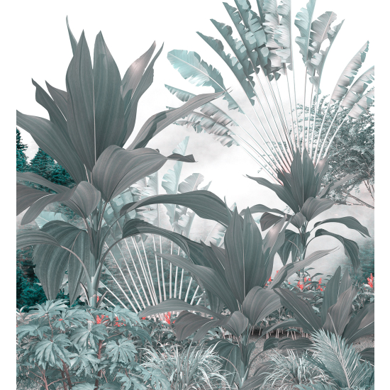 Panoramic Wallpaper - Wall Mural - Tropical Plants