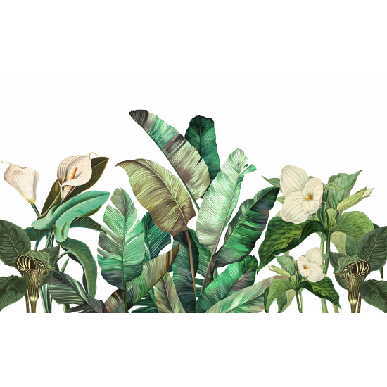 Panoramic Wallpaper - Wall Mural - Tropical Plants