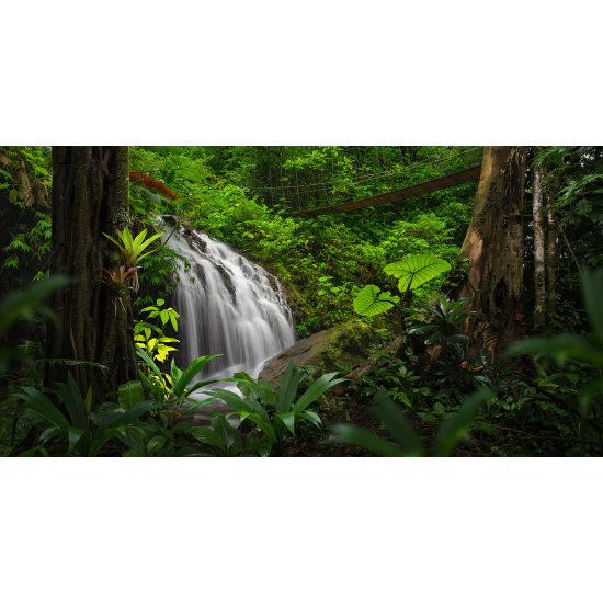 Panoramic Wallpaper - Wall Mural - Waterfall