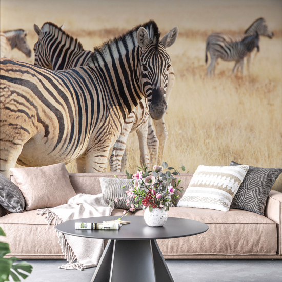 Panoramic Wallpaper - Wall Mural - Zebras