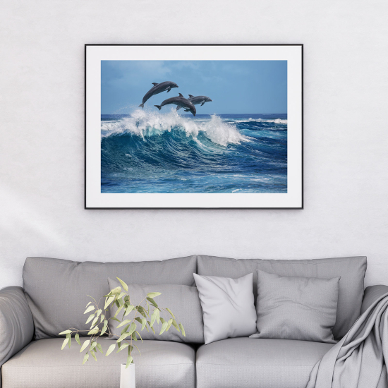 Poster - Dolphins