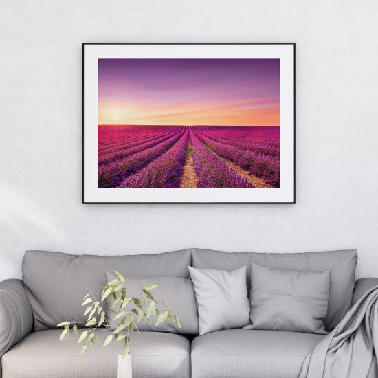 Poster - Lavender field