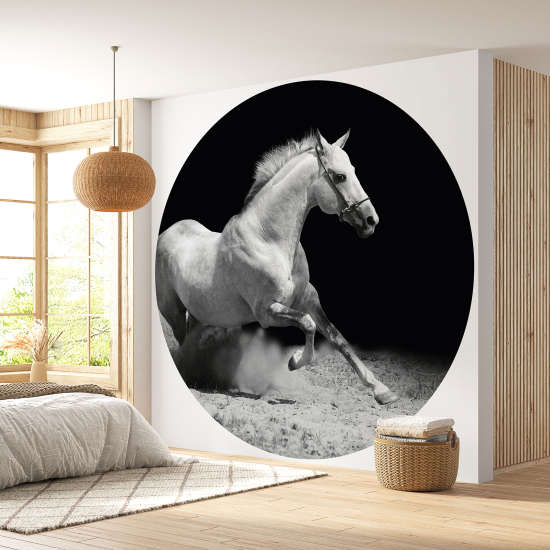 Round / Circle Wall Mural - Wallpaper - Horse