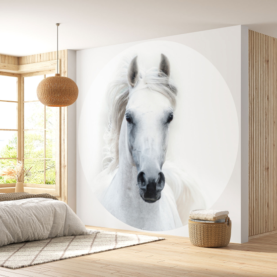 Round / Circle Wall Mural - Wallpaper - Horse