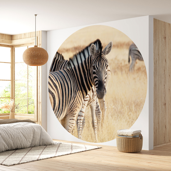 Round / Circle Wall Mural - Wallpaper - Zebra