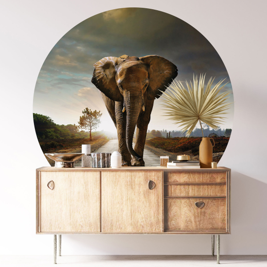 Round / Circle Wall Sticker - Elephant