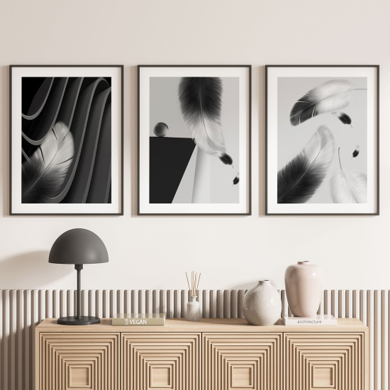 Set Of 3 Posters - Feathers