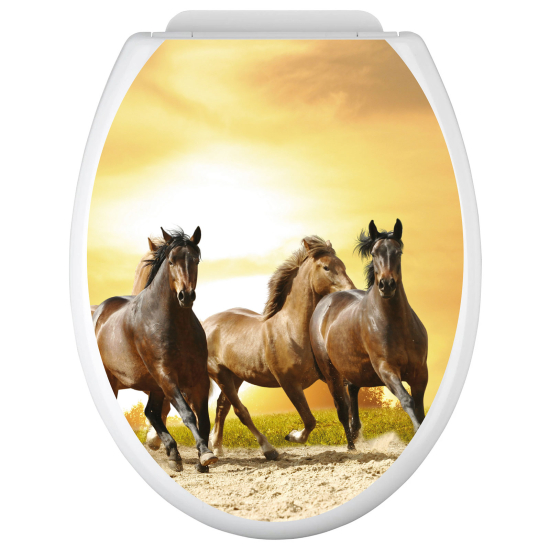 Toilet seat sticker - Horses