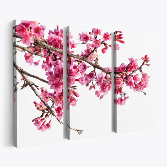 Triptych Canvas Prints - Cherry Blossoms