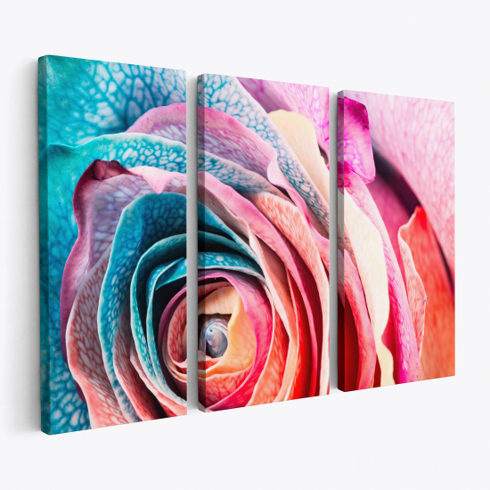 Triptych Canvas Prints - Colored rose