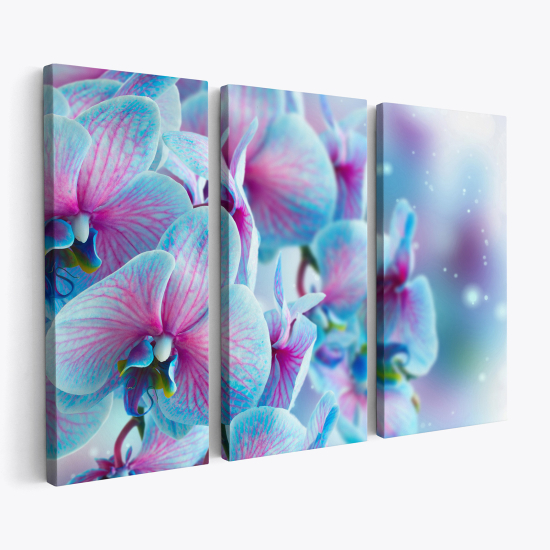 Triptych Canvas Prints - Colorful Orchids