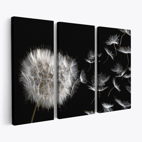 Triptych Canvas Prints - Dandelion