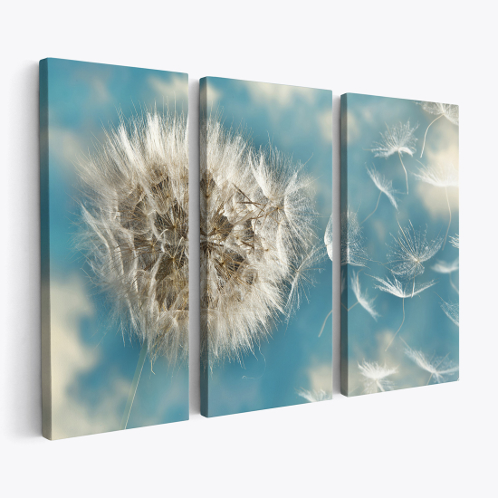 Triptych Canvas Prints - Dandelion