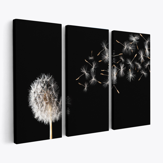 Triptych Canvas Prints - Dandelion