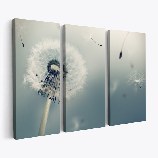 Triptych Canvas Prints - Dandelion