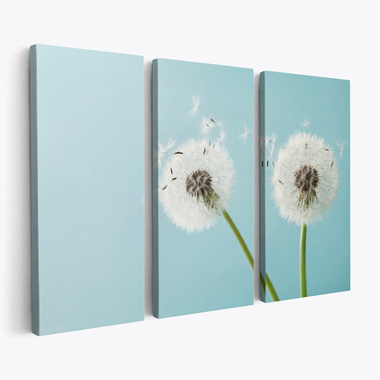 Triptych Canvas Prints - Dandelions