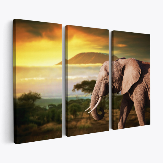 Triptych Canvas Prints - Elephant