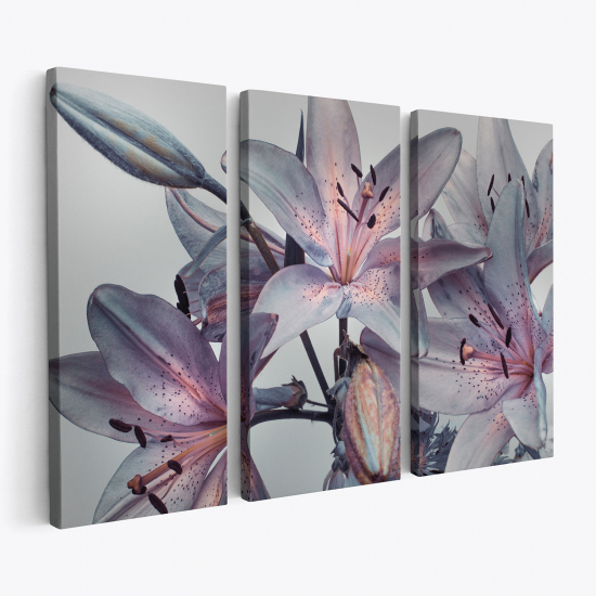 Triptych Canvas Prints - Flowers