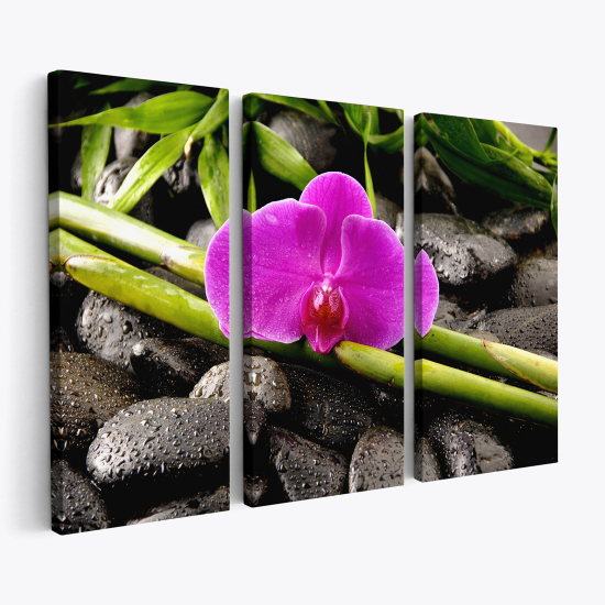 Triptych Canvas Prints - Flowers Pebbles