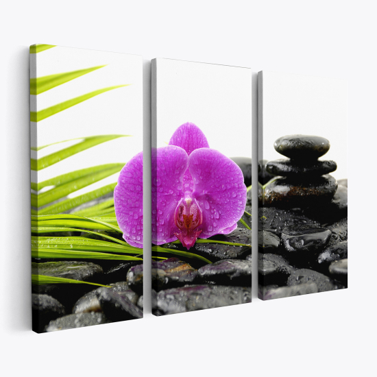 Triptych Canvas Prints - Flowers Pebbles