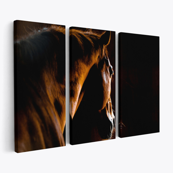 Triptych Canvas Prints - Horse