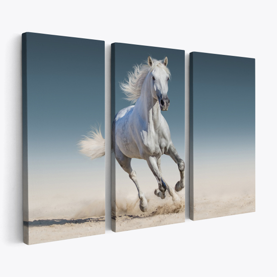 Triptych Canvas Prints - Horse