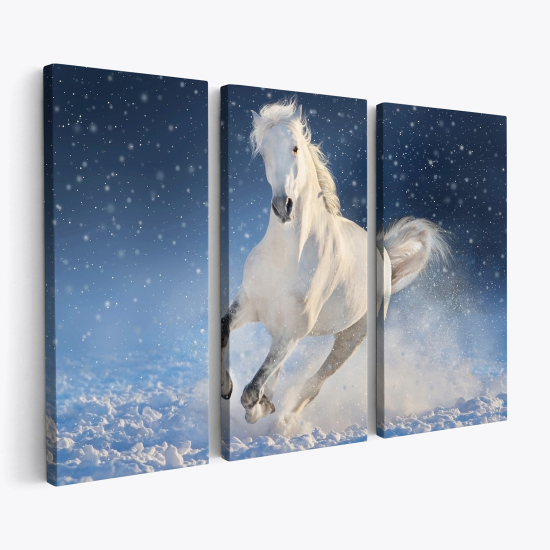 Triptych Canvas Prints - Horse