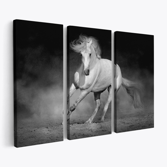 Triptych Canvas Prints - Horse