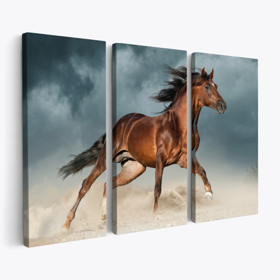 Triptych Canvas Prints - Horse