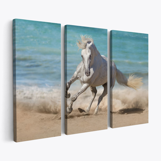 Triptych Canvas Prints - Horse on the beach