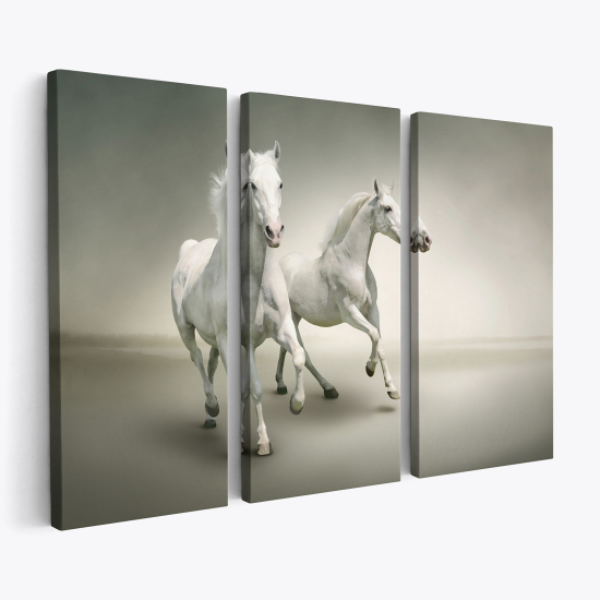 Triptych Canvas Prints - Horses