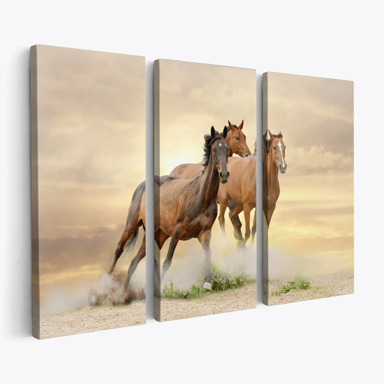 Triptych Canvas Prints - Horses