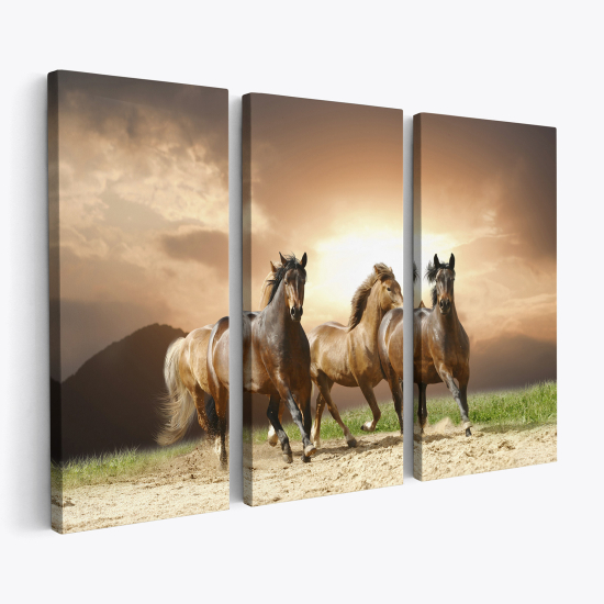 Triptych Canvas Prints - Horses