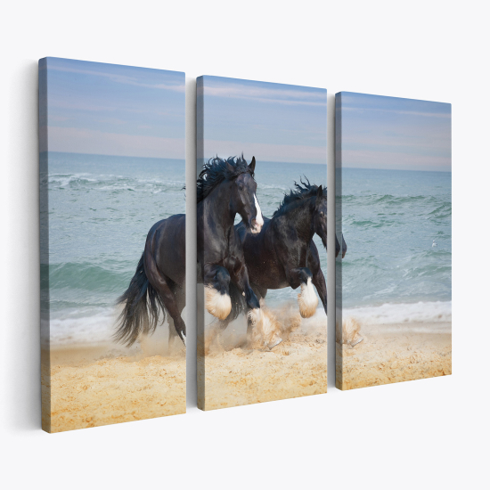 Triptych Canvas Prints - Horses on the beach