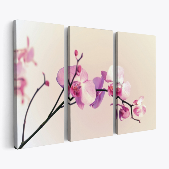 Triptych Canvas Prints - Orchids