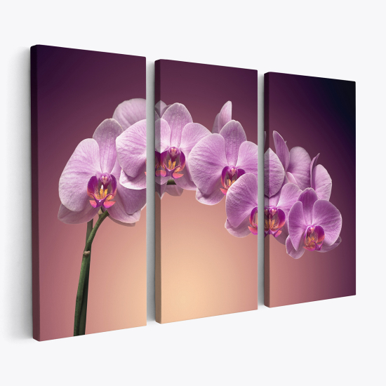 Triptych Canvas Prints - Orchids