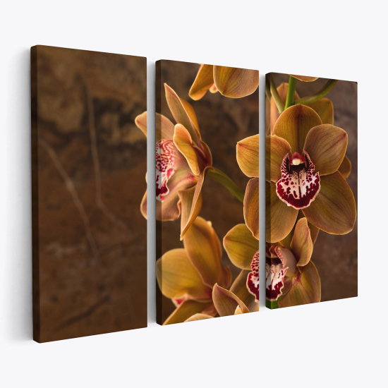 Triptych Canvas Prints - Orchids