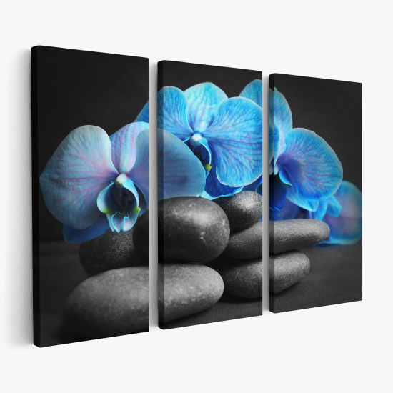 Triptych Canvas Prints - Orchids