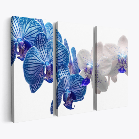 Triptych Canvas Prints - Orchids