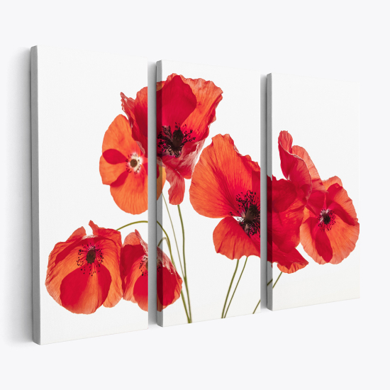 Triptych Canvas Prints - Poppies