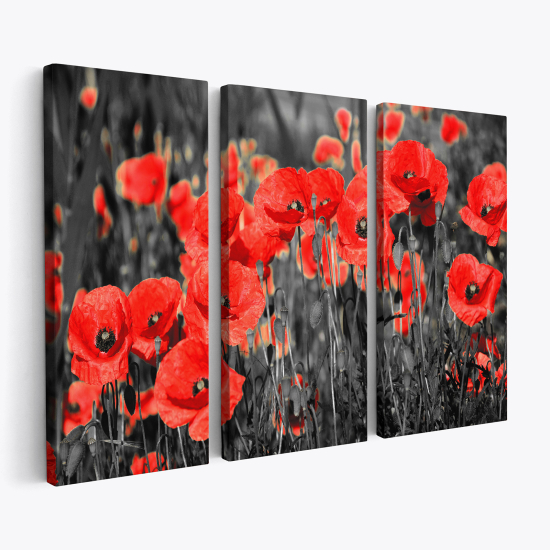 Triptych Canvas Prints - Poppies