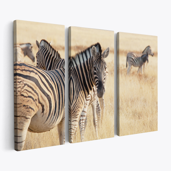 Triptych Canvas Prints - Savanna Zebras