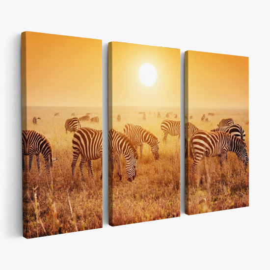 Triptych Canvas Prints - Savanna Zebras