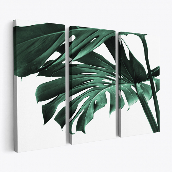 Triptych Canvas Prints - Tropical Monstera Leaves